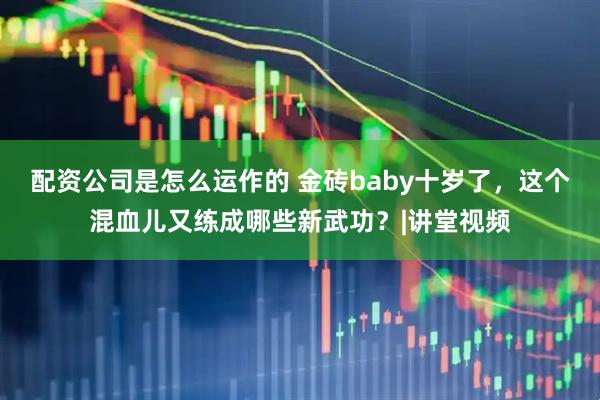 配资公司是怎么运作的 金砖baby十岁了，这个混血儿又练成哪些新武功？|讲堂视频